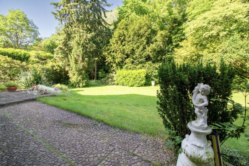 Blick in den Garten